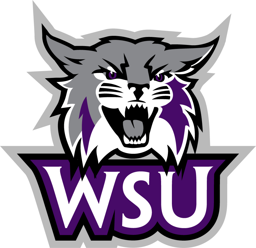 Weber State Wildcats 2012-Pres Secondary Logo v6 diy iron on heat transfer